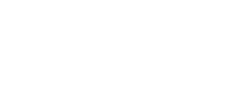 Logo blanco de dragon